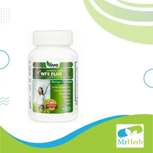 WFS Plus
