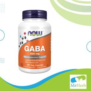 Gaba Now capsules 500 mg, 100 capsules