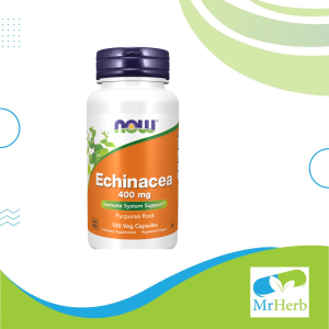 Echinacea Now, 400 mg, 100 capsules