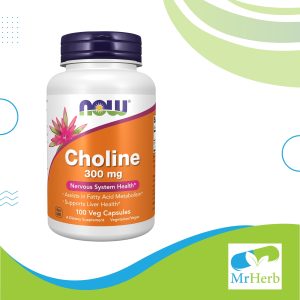 Now Choline 300mg 100 Caps